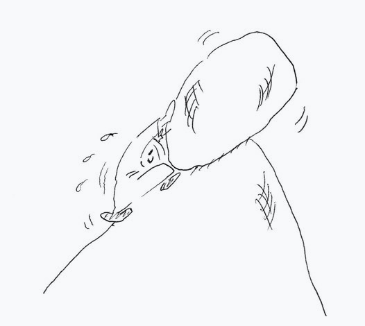 Meine Goldberg-Variationen