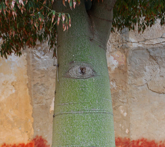 Grenzfragen. Eine Erkundung